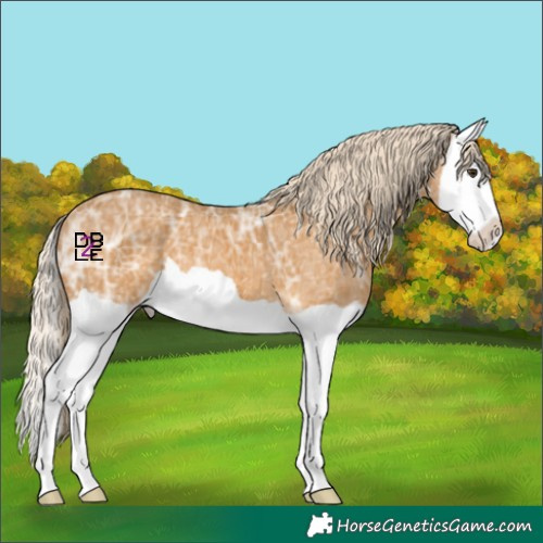 Horse Color:Palomino Ice Splash 