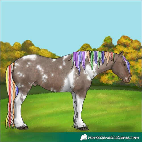 Horse Color:Painted White Spotted Silver Brown Dun Tobiano Appaloosa 