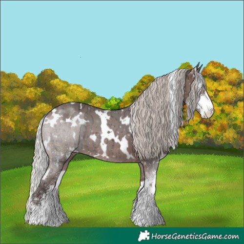 Horse Color:White Spotted Silver Brown Ice Sabino 