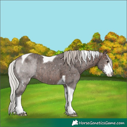 Horse Color:Silver Brown Ice Sabino Tobiano 