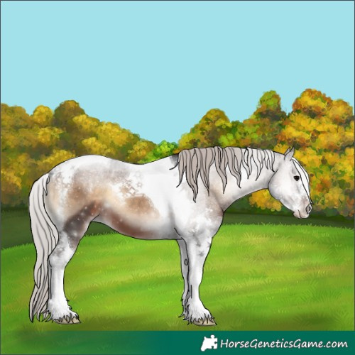 Horse Color:Silver Brown Onyx Sabino Tobiano 