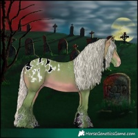 Horse Color:Powder White Watercolor Silver Brown Blanket