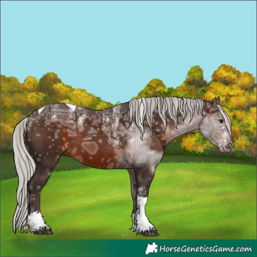 Horse Color:Powder White Silver Brown Ice Tobiano 