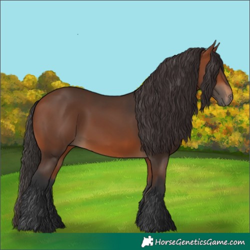Horse Color:Pseudo Buckskin