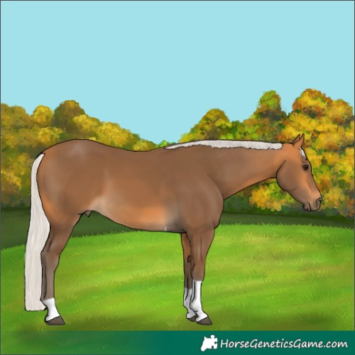 Horse Color:Silver Buckskin Tobiano 