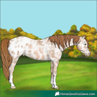 Horse Color:Chestnut Ice Pearl Varnish
