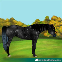 Horse Color:ERROR: UNKNOWN ANOMALY