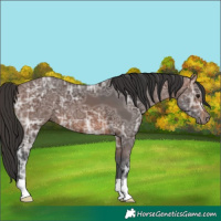 Horse Color:Brown Ice