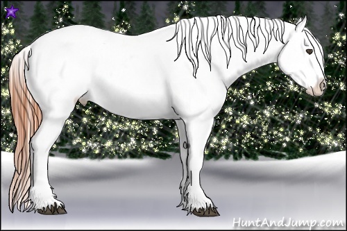 Horse Color:Grullo Ice Varnish Rabicano 