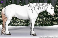 Horse Color:Grullo Ice Varnish Rabicano 