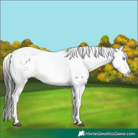 Horse Color:Black Frame
