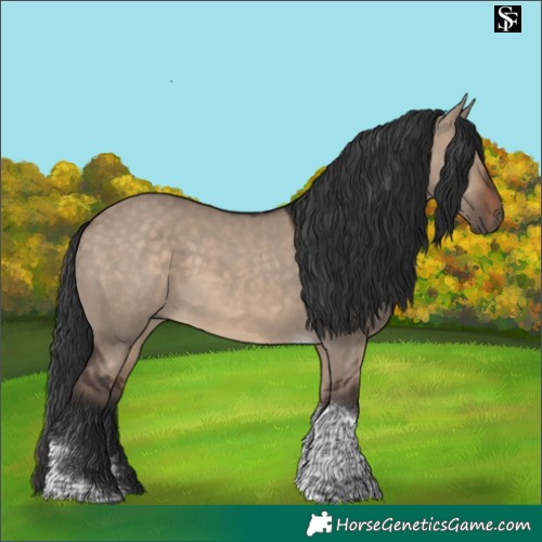 Horse Color:Brown Dun Tobiano 