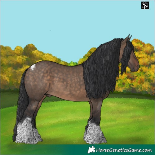 Horse Color:Brown Dun Tobiano Rabicano 