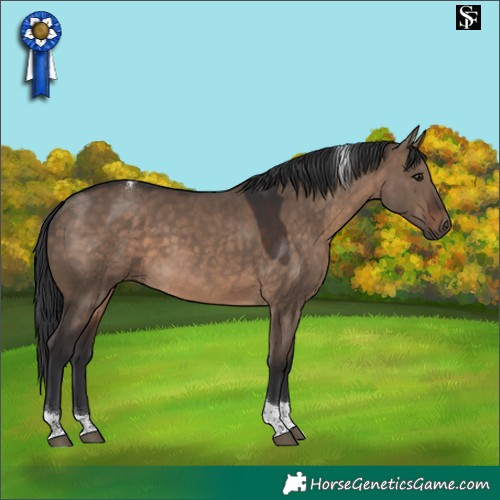 Horse Color:Brown Dun Tobiano 