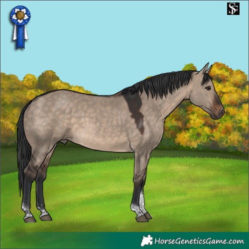 Horse Color:Brown Dun Tobiano 