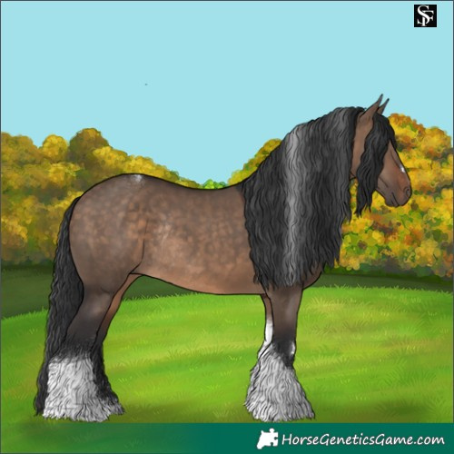 Horse Color:Brown Dun Tobiano Rabicano