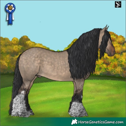 Horse Color:Brown Dun Tobiano