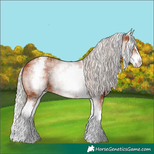 Horse Color:White Spotted Silver Bay Splash 