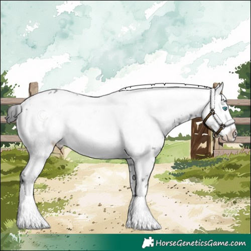 Horse Color:Black Frame 