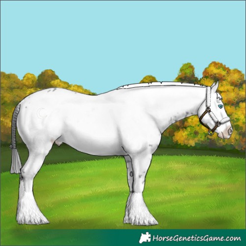 Horse Color:Black Frame 