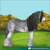 Horse Color:Gray White Spotted Black and Gray White Spotted Black Frame