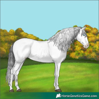 Horse Color:Black Frame