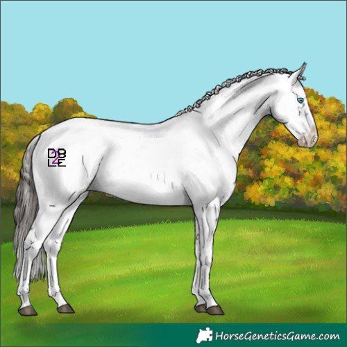 Horse Color:Liver Chestnut Frame 