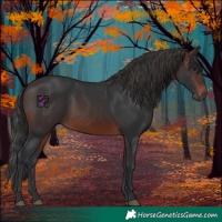 Horse Color:Brown 