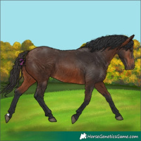 Horse Color:Brown 
