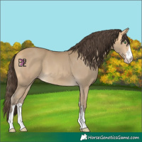Horse Color:Sable Cream Champagne