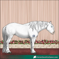 Horse Color:Black Frame Appaloosa 