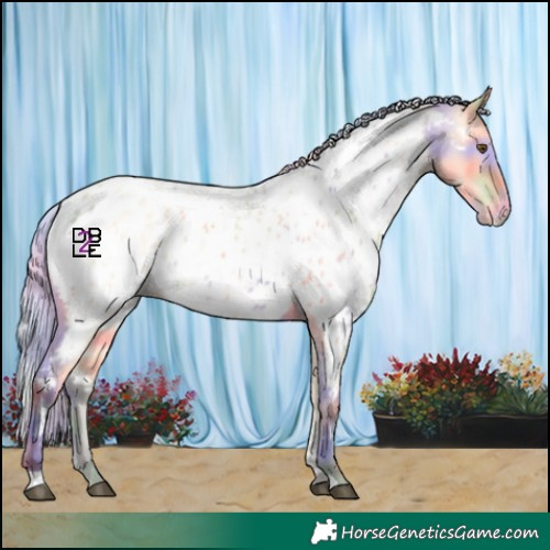 Horse Color:Nacre Silver Buckskin Dun Near Leopard 