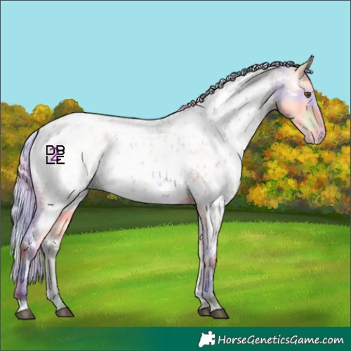 Horse Color:Nacre Silver Buckskin Dun Near Leopard