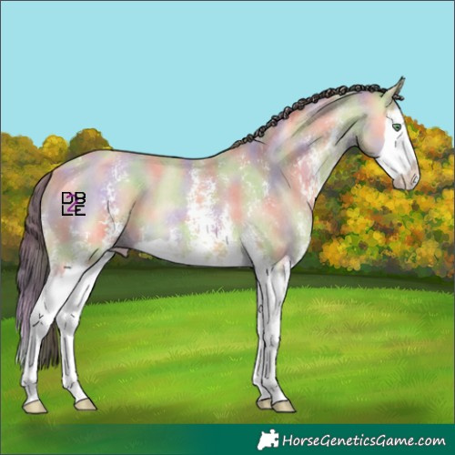 Horse Color:Nacre Amber Cream Champagne Dun Sabino Splash