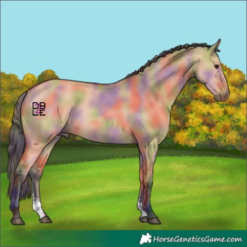 Horse Color:Nacre Bay Dun Sabino