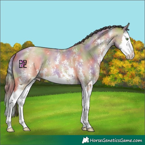 Horse Color:Nacre Amber Champagne Sabino Splash 