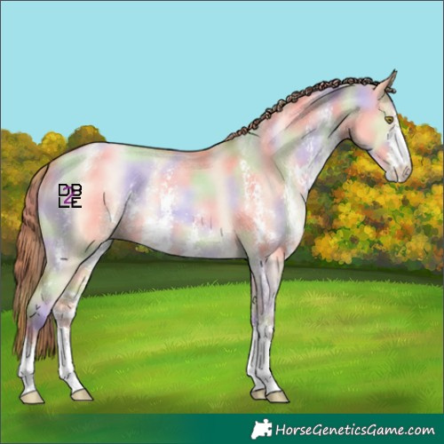 Horse Color:Nacre Bay Pearl Dun Sabino