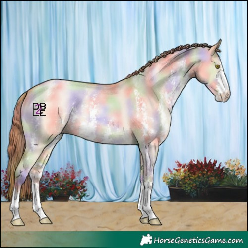 Horse Color:Nacre Bay Pearl Dun Sabino 