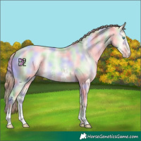 Horse Color:Nacre Amber Cream Champagne Pearl Dun Sabino