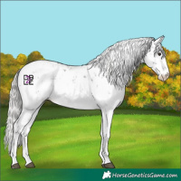 Horse Color:Silver Bay Mushroom Sabino 