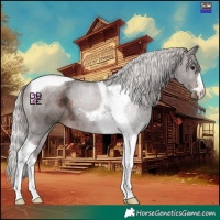 Horse Color:Silver Bay Mushroom Tobiano