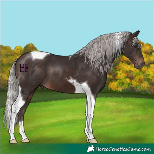 Horse Color:Silver Brown Mushroom Tobiano 