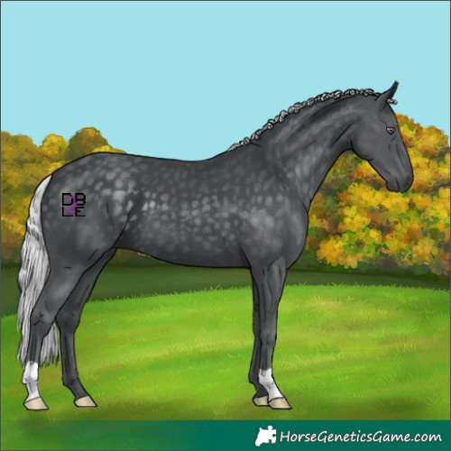 Horse Color:Silver Black Chinchilla 