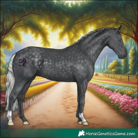 Horse Color:Silver Black Chinchilla