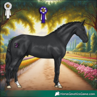 Horse Color:Black Chinchilla