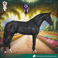 Horse Color:Black Chinchilla