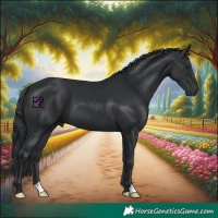 Horse Color:Black Chinchilla 