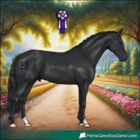 Horse Color:Black Chinchilla 