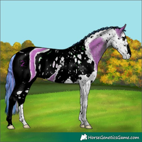 Horse Color:ERROR: UNKNOWN ANOMALY