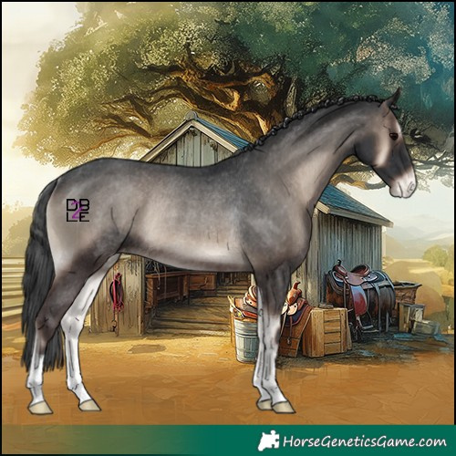Horse Color:Blue Onyx Varnish Rabicano 